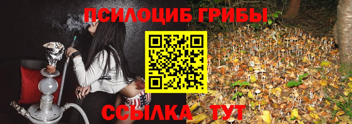 Галлюциногенные грибы Magic Shrooms Янаул